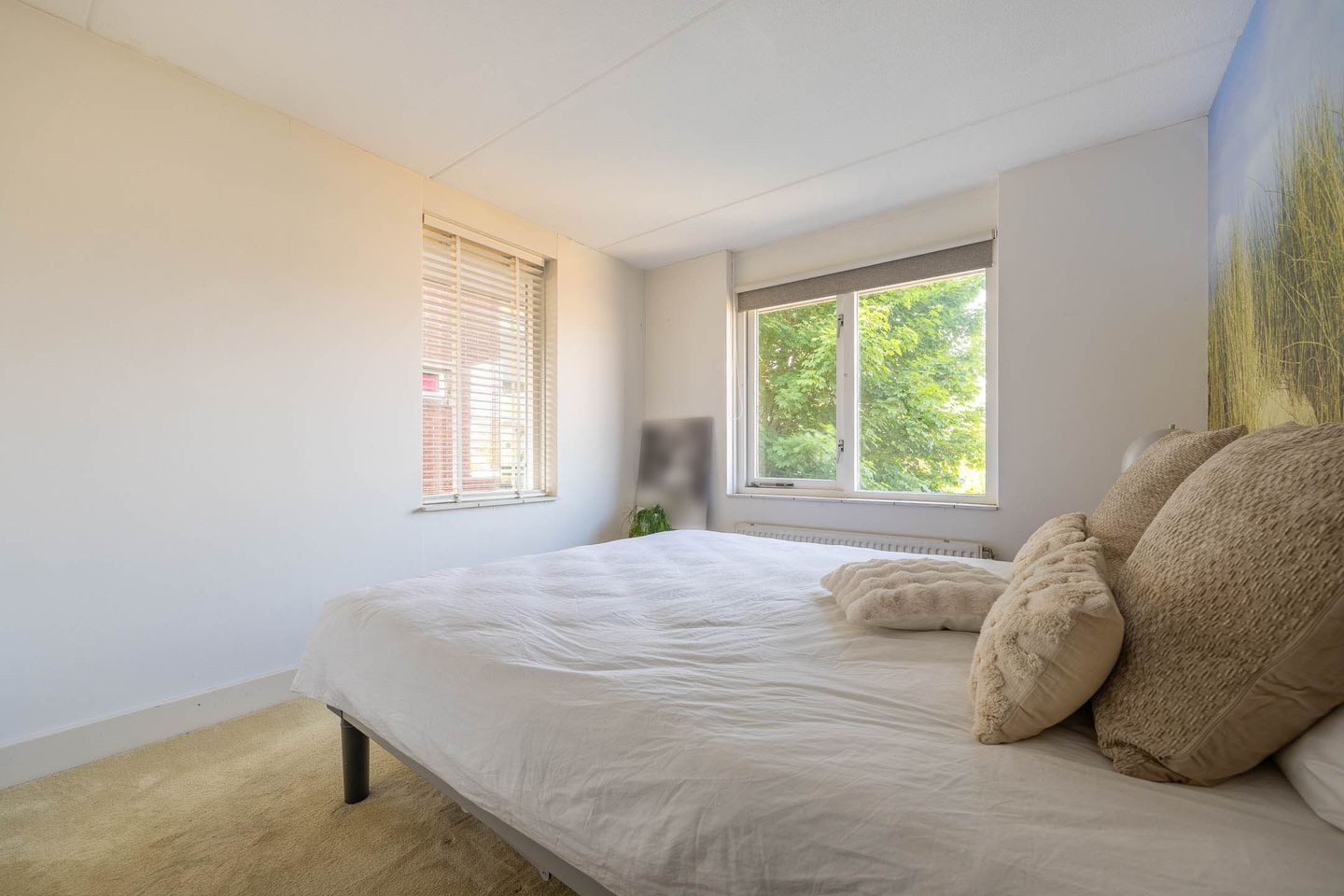 Foto 20 van Evenaar 52