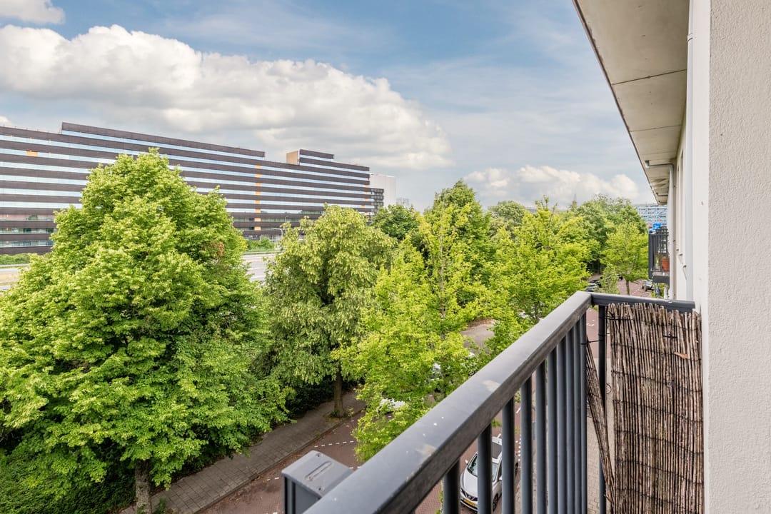 Foto 23 van James Rosskade 13-3