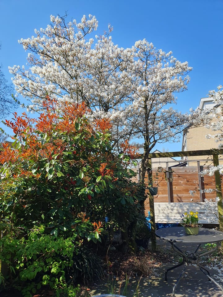 Foto 24 van Tourmalijnpad 2