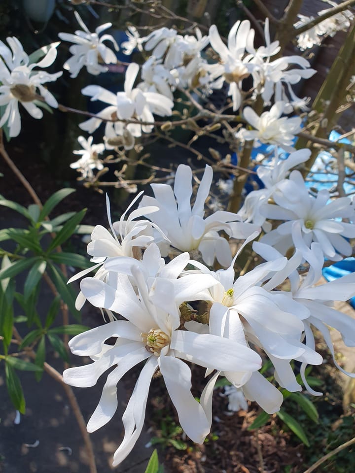 Foto 25 van Tourmalijnpad 2