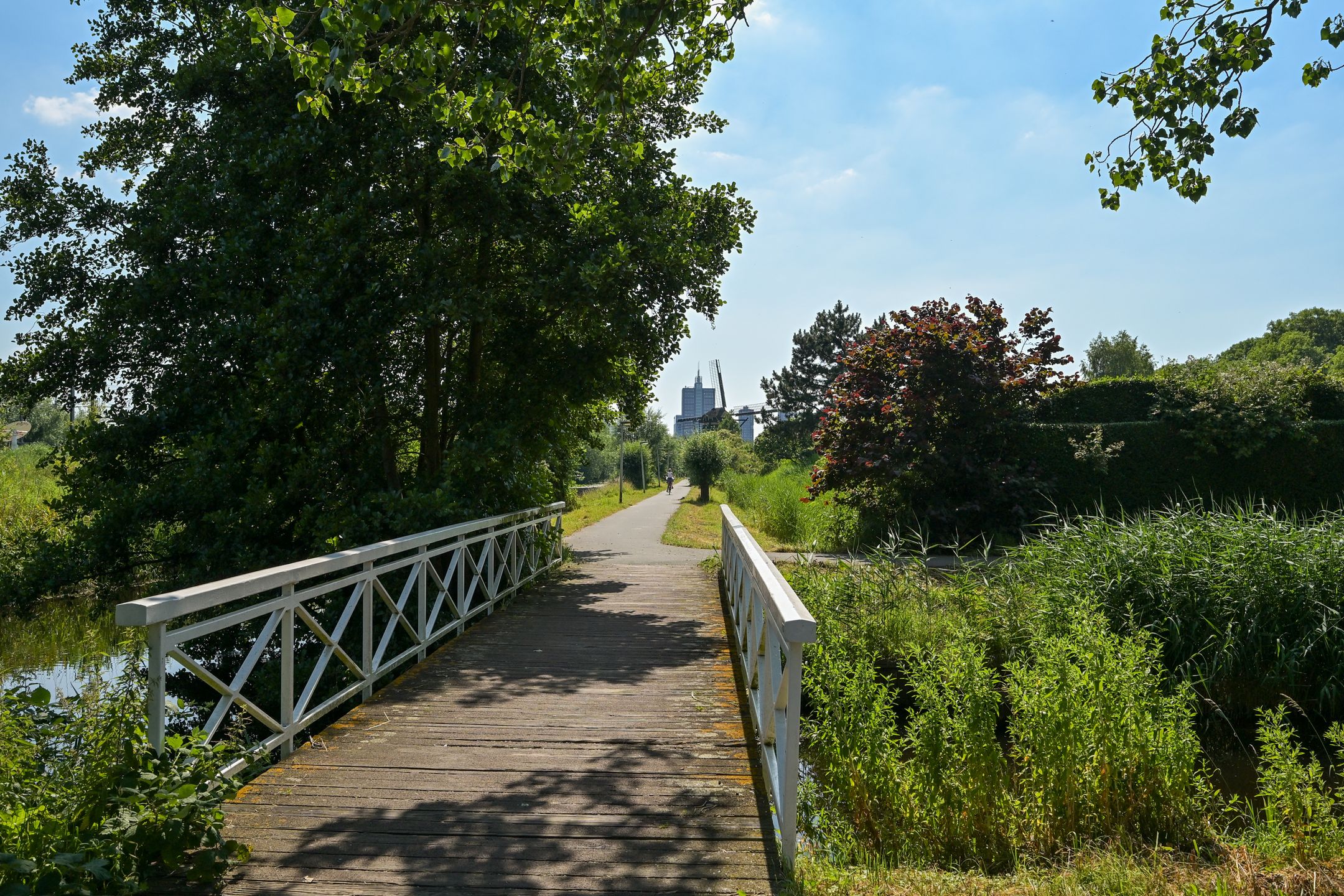 Photo 33 of Boekweitkamp 119
