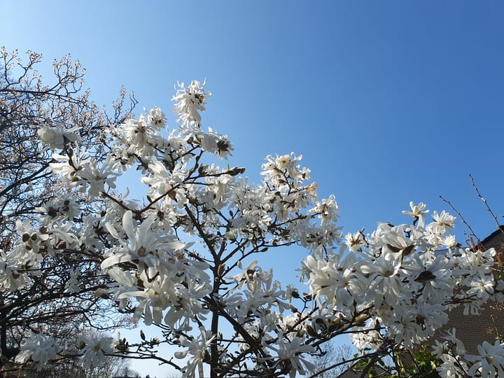 Foto 26 van Tourmalijnpad 2