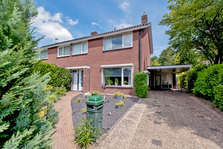 Foto 1 van Sleedoorn 7