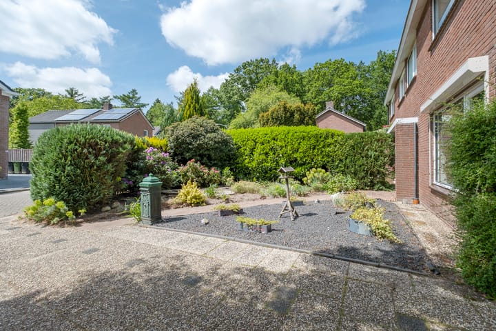 Foto 8 van Sleedoorn 7