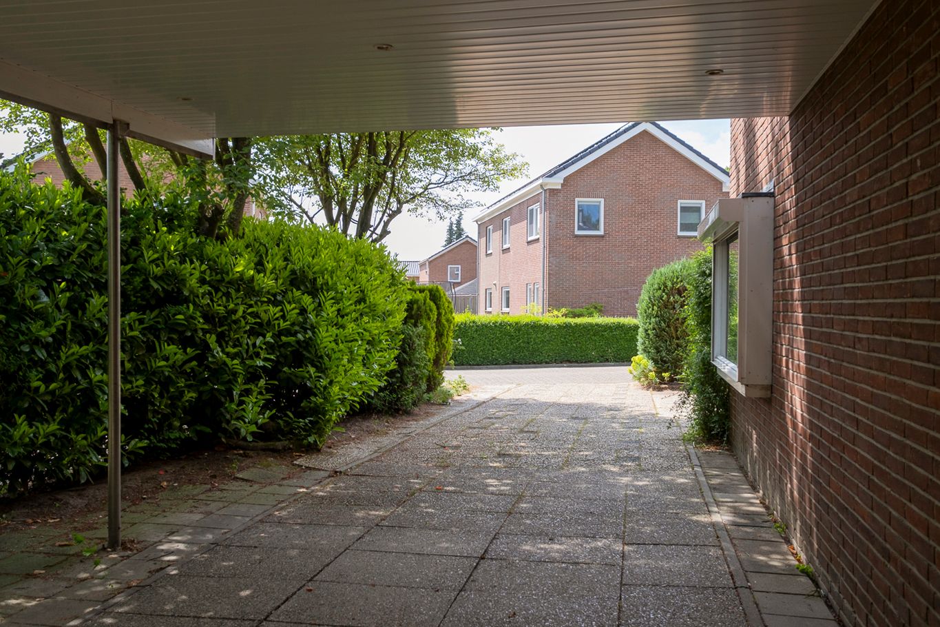 Foto 9 van Sleedoorn 7