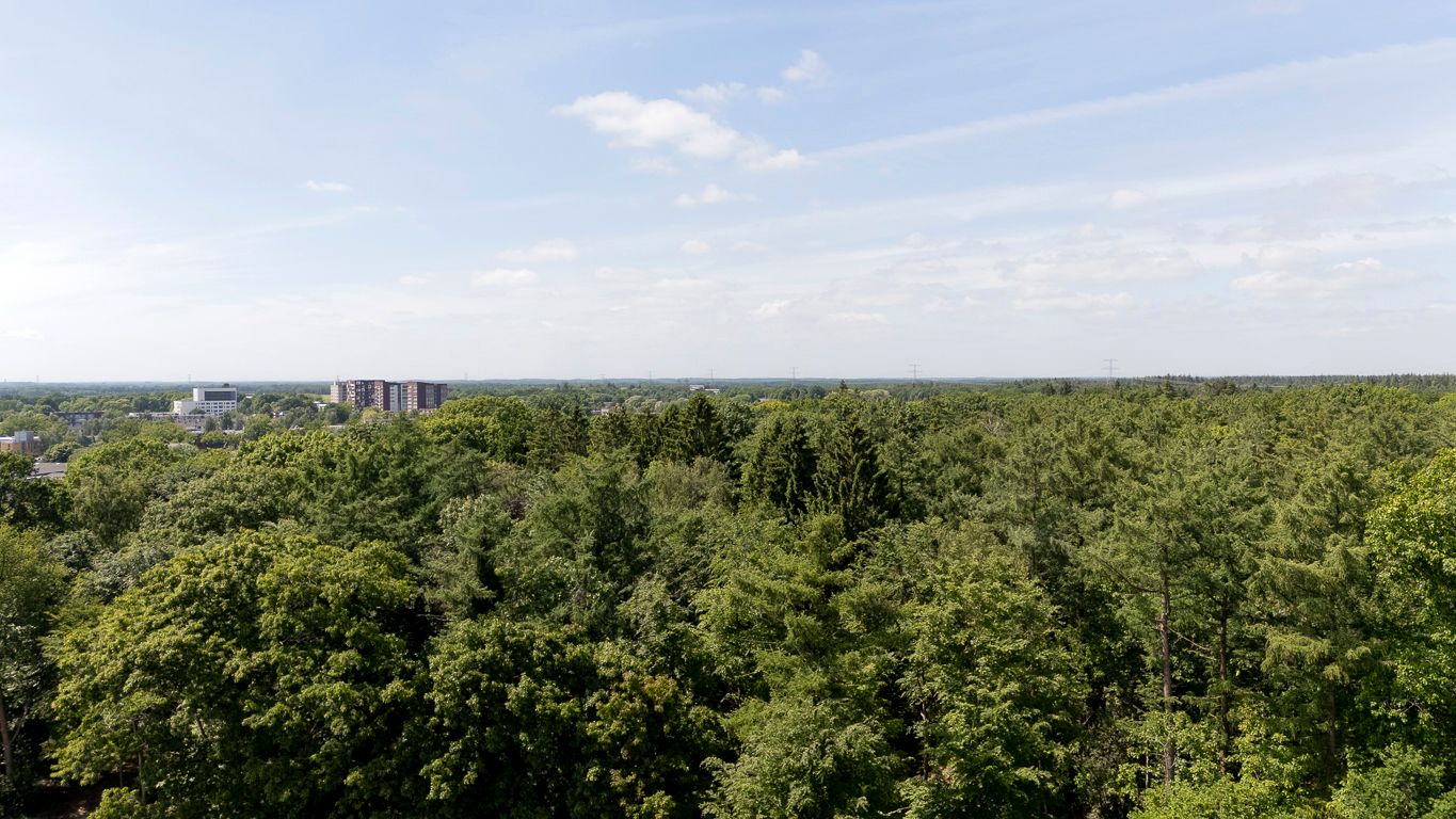 Foto 45 van Sleedoorn 7