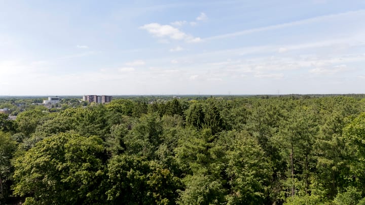 Foto 45 van Sleedoorn 7