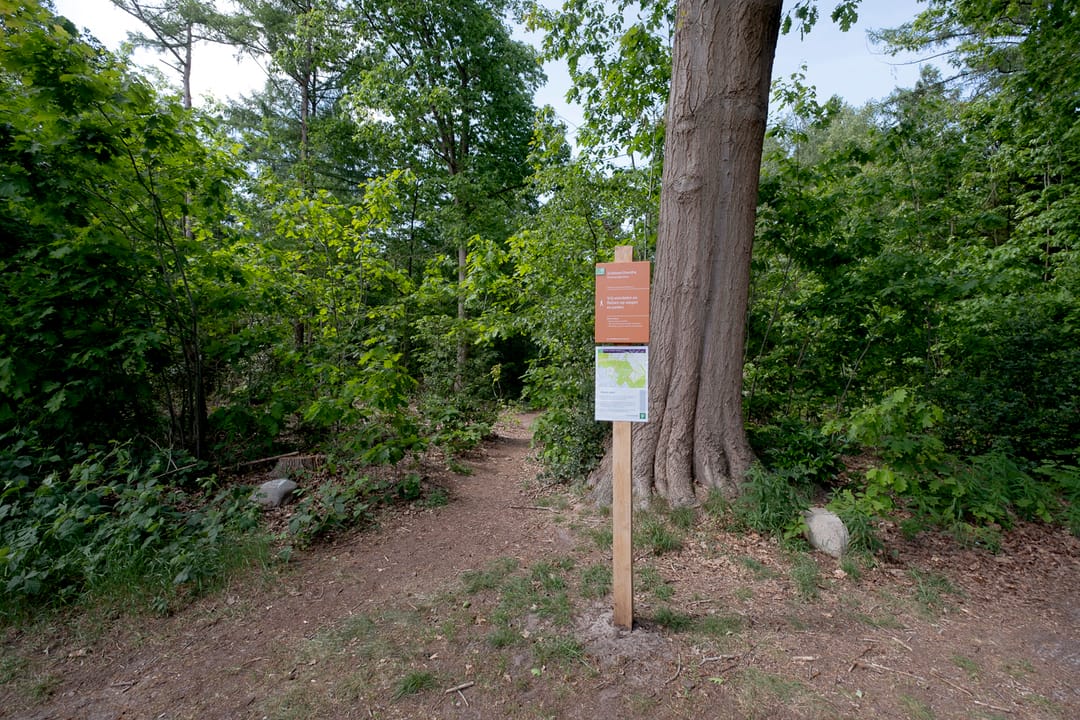 Foto 46 van Sleedoorn 7