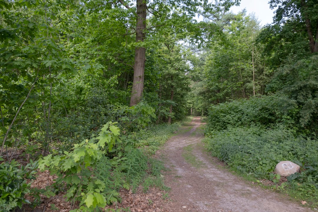 Foto 47 van Sleedoorn 7