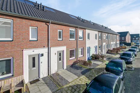 undefined main image