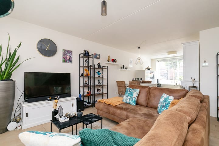 Foto 8 van Visven 501