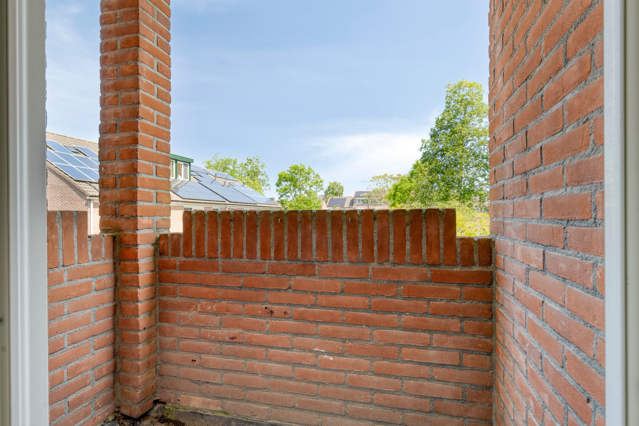 Foto 36 van Zirkoon 13