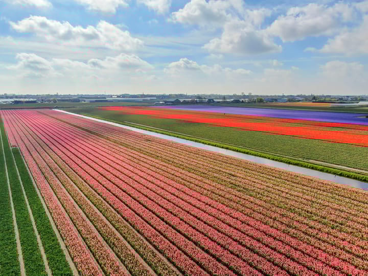 Foto 67 van Zilkerduinweg 394-A