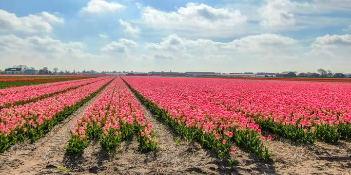 Foto 68 van Zilkerduinweg 394-A