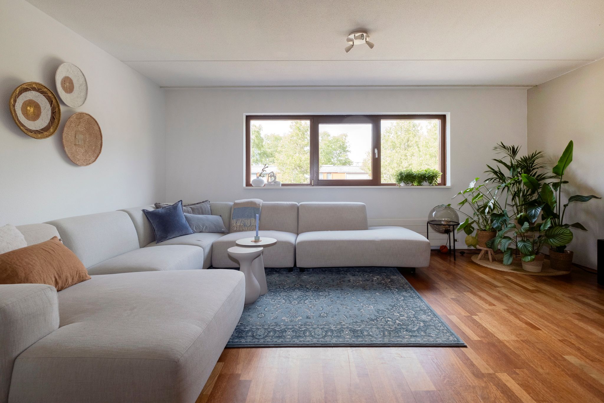 Foto 24 van Klepel 374