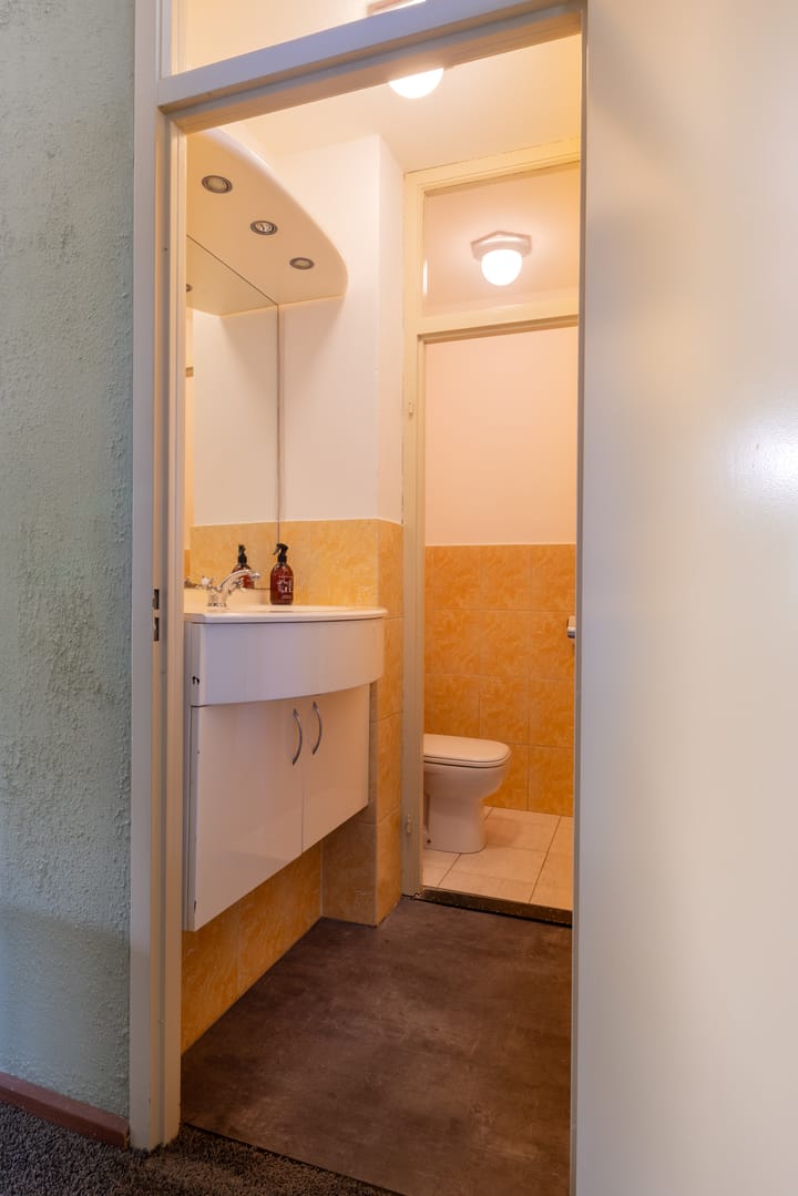 Foto 19 van Adonislaan 18