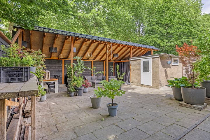 Foto 37 van Dennekruid 70