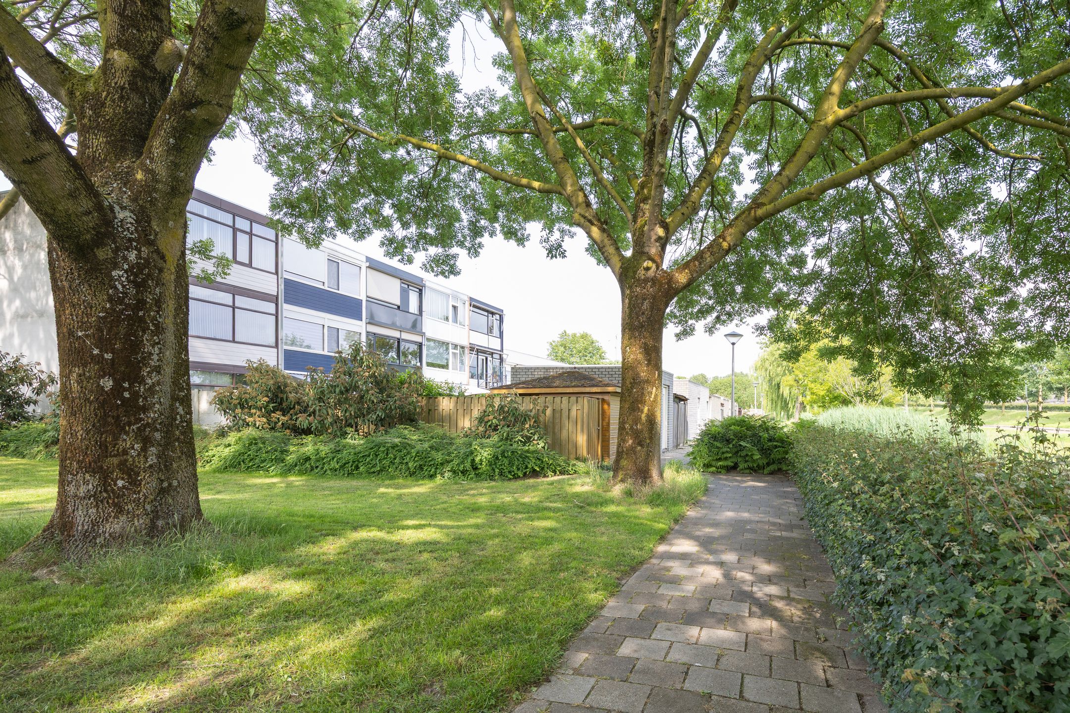 Foto 33 van Adonislaan 18