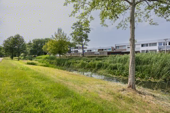 Foto 35 van Adonislaan 18