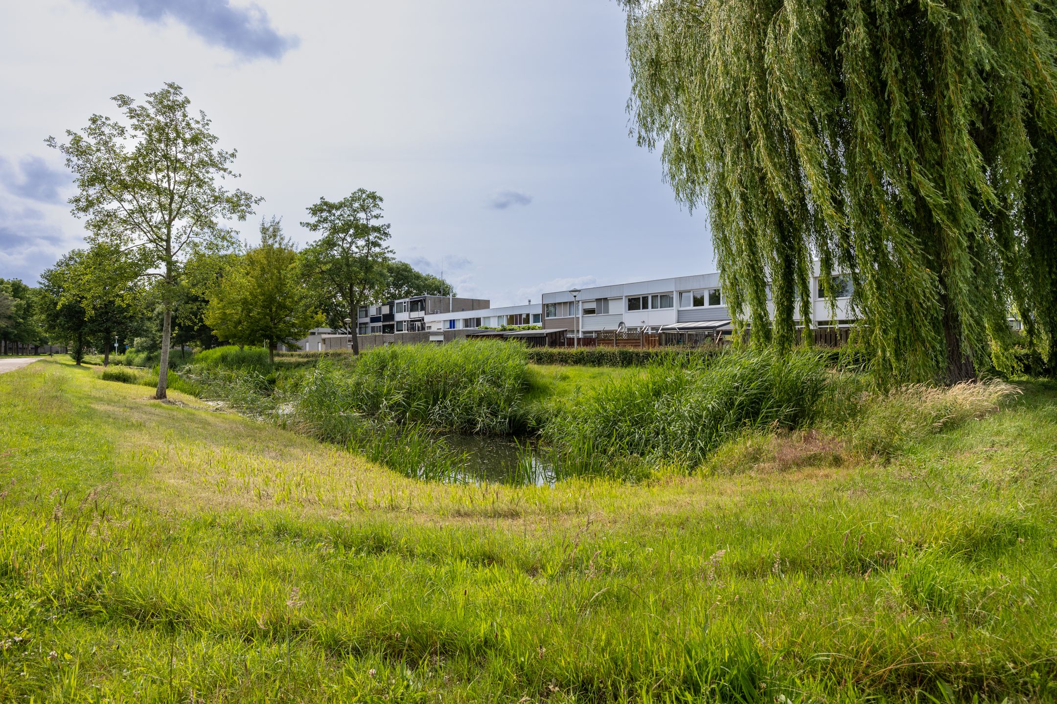 Foto 36 van Adonislaan 18