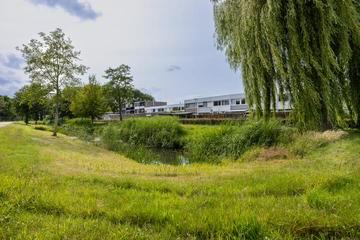 Foto 36 van Adonislaan 18