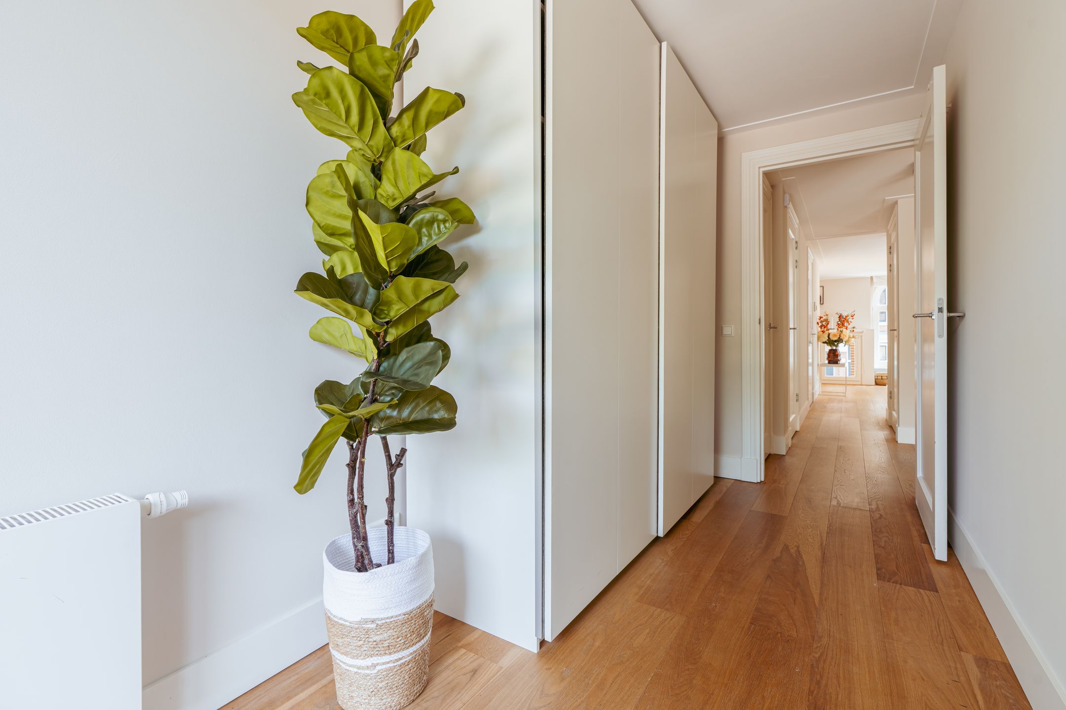 Foto 18 van Tweede Oosterparkstraat 35-B