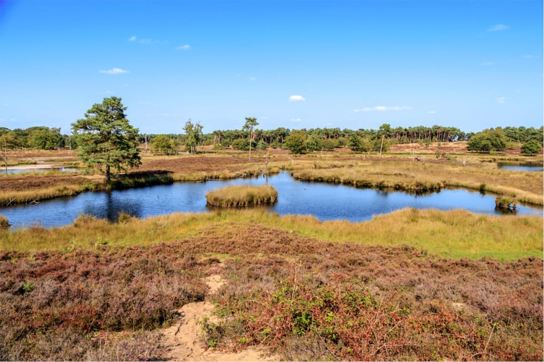 Foto 47 van Weezenhof 6209