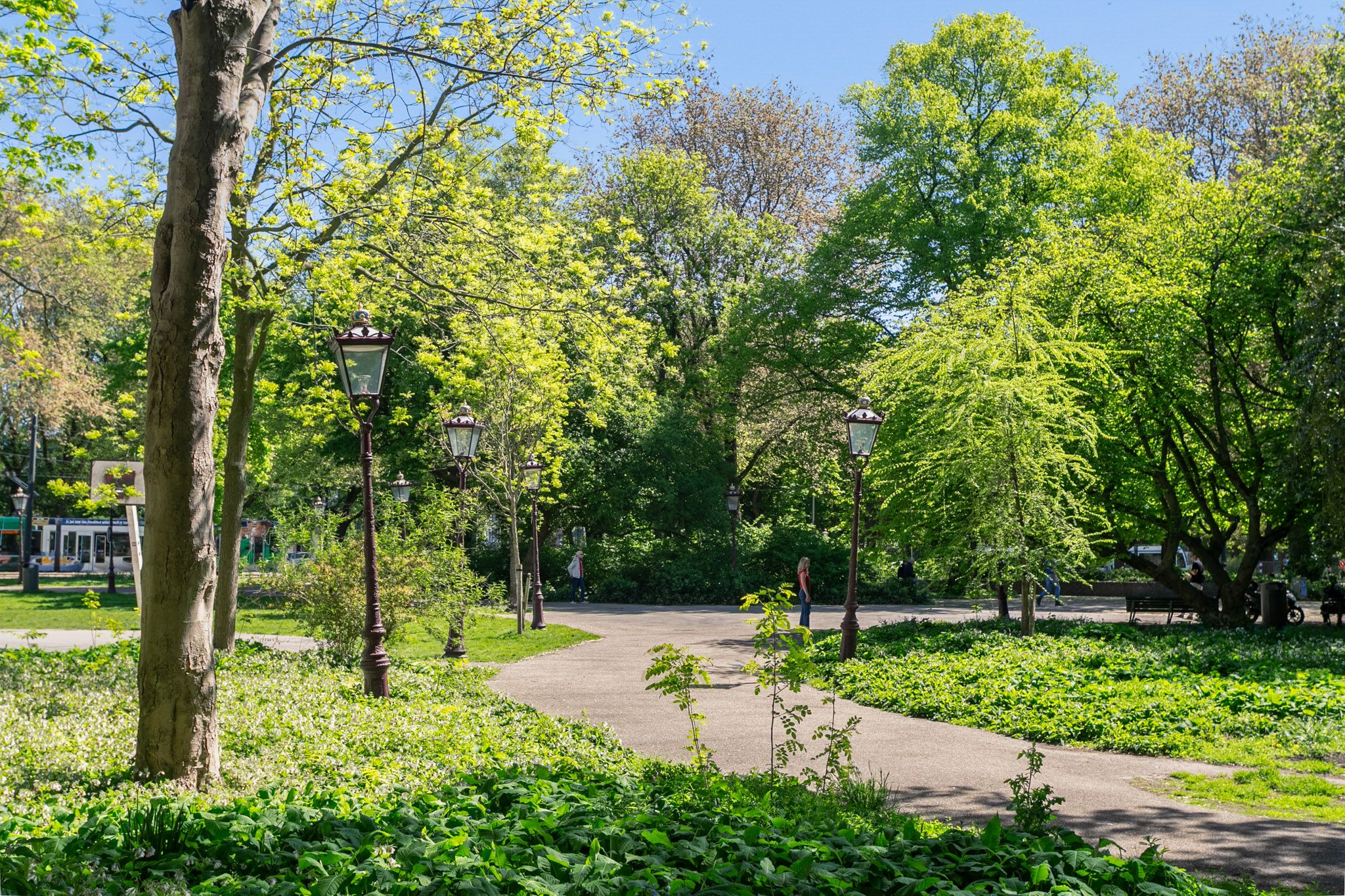 Foto 24 van Utrechtsedwarsstraat 126-H