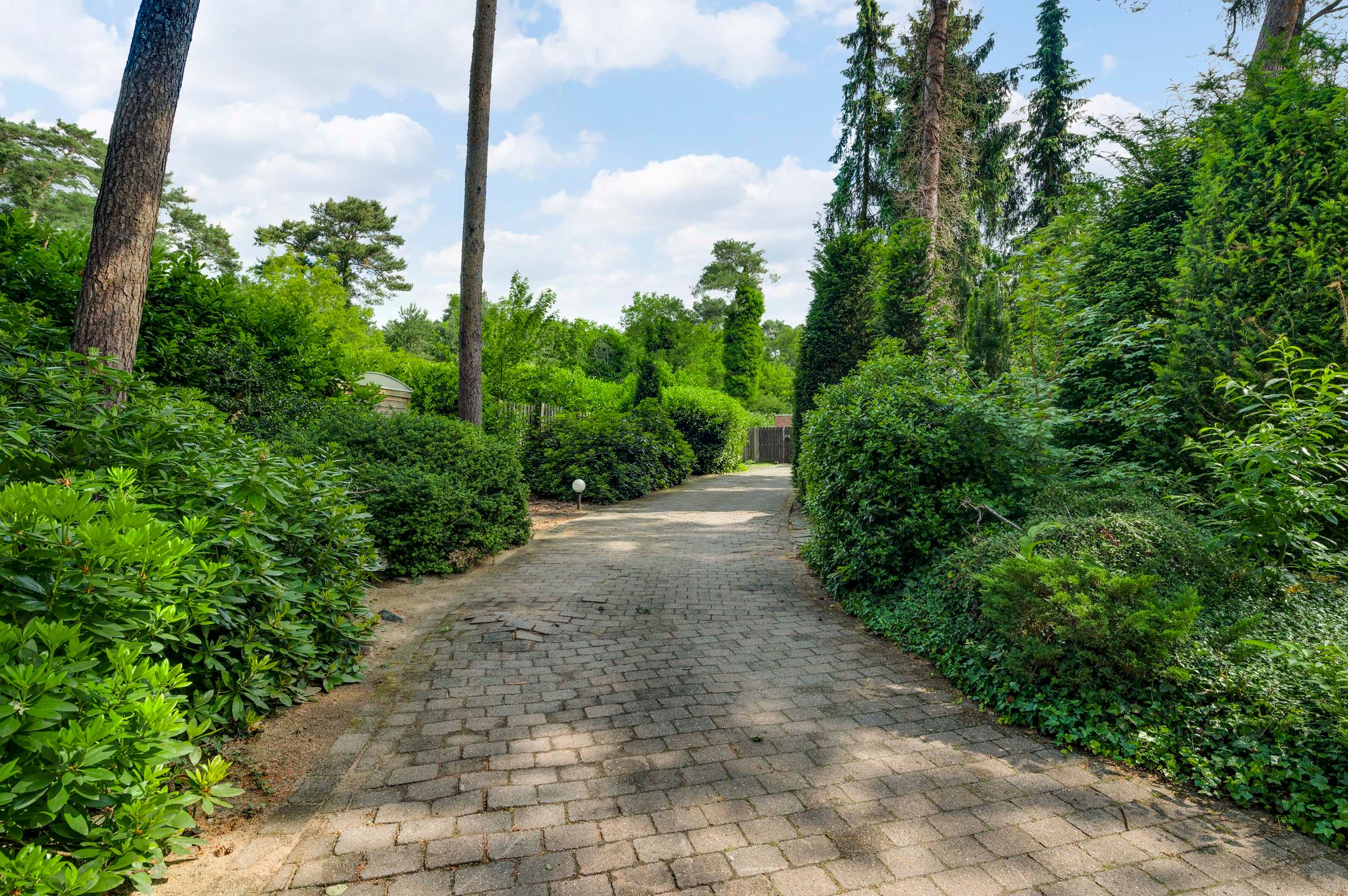 Foto 60 van Van der Landelaan 25