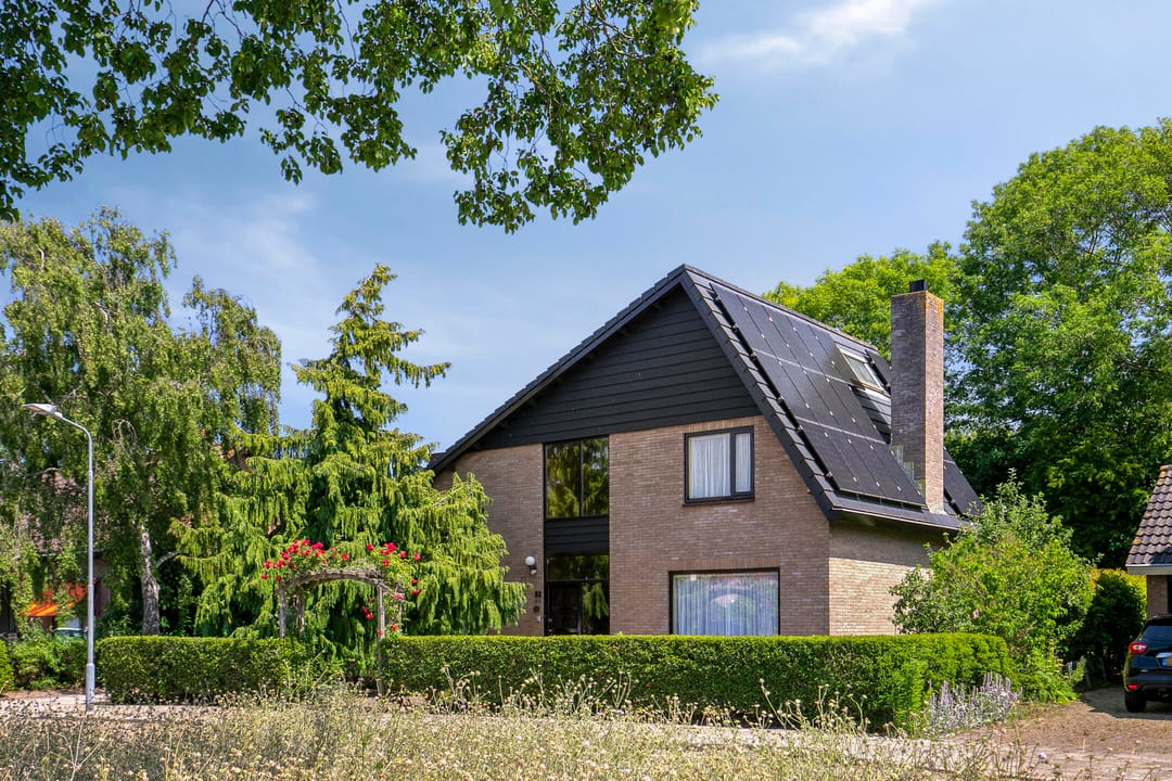 Foto 1 van De Wolfstraat 32