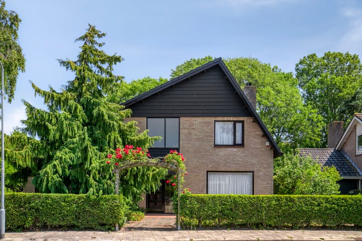 Foto 39 van De Wolfstraat 32