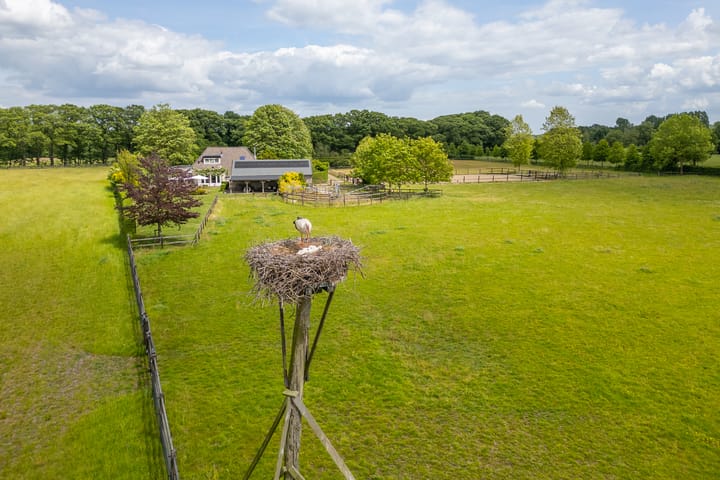 Foto 50 van Hallsedijk 29