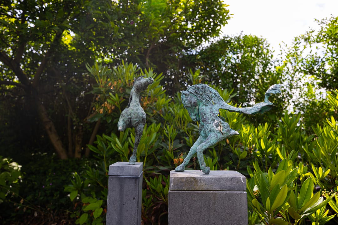 Foto 56 van Hallsedijk 29