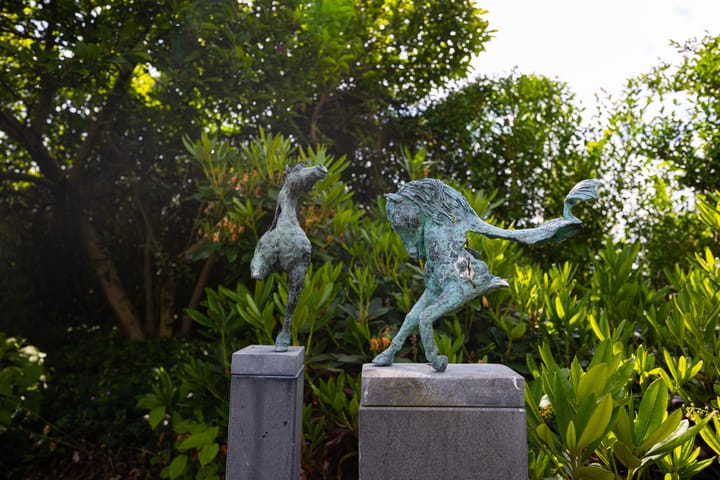 Foto 56 van Hallsedijk 29