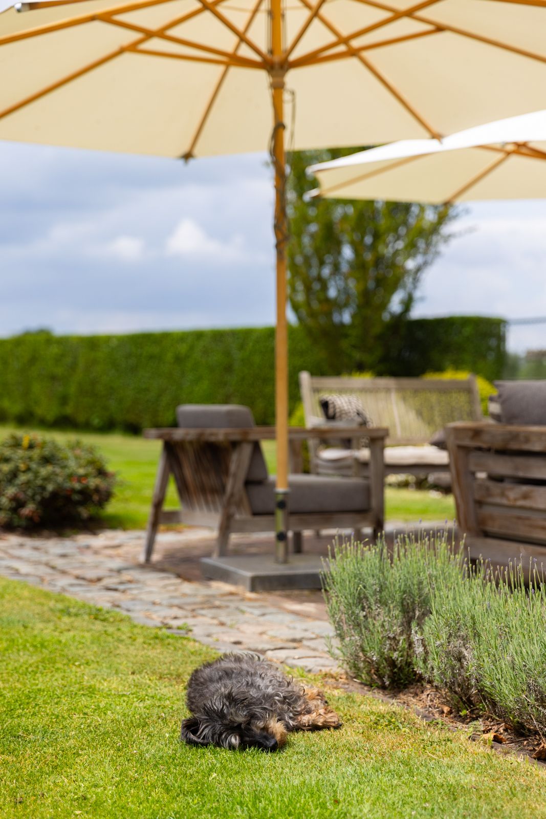 Foto 69 van Hallsedijk 29