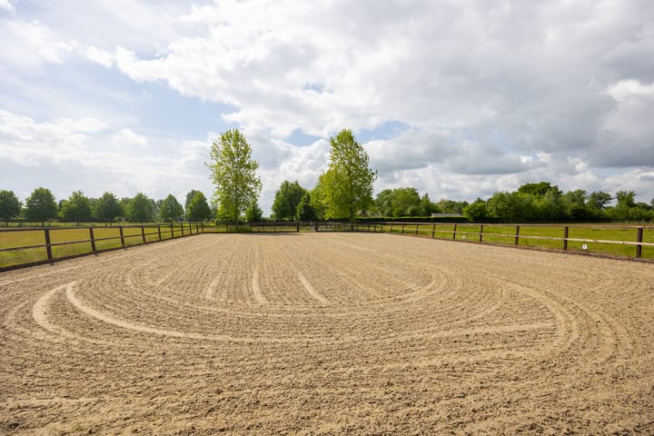 Foto 78 van Hallsedijk 29