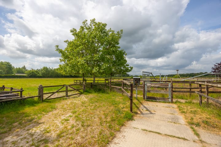 Foto 79 van Hallsedijk 29