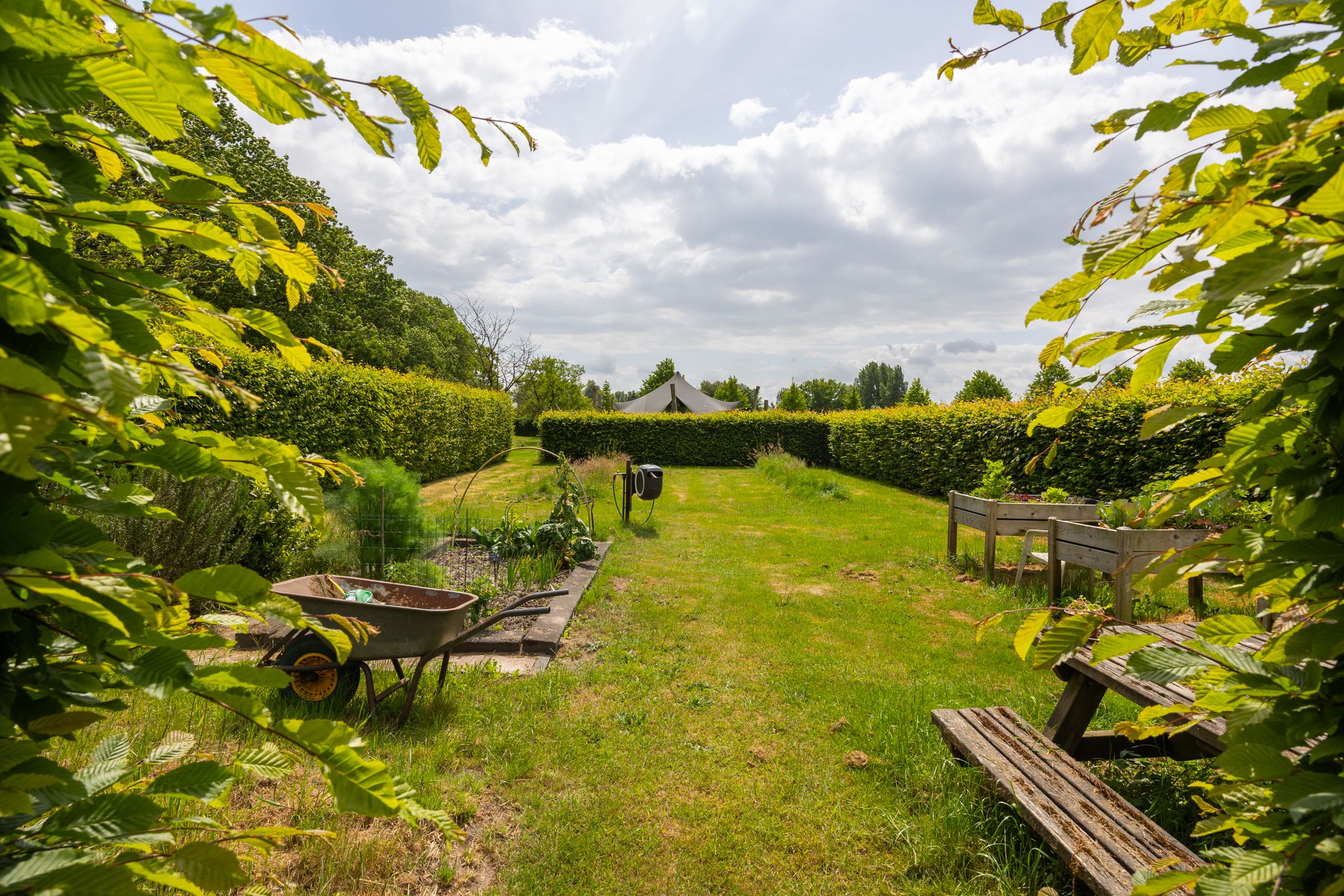 Foto 84 van Hallsedijk 29