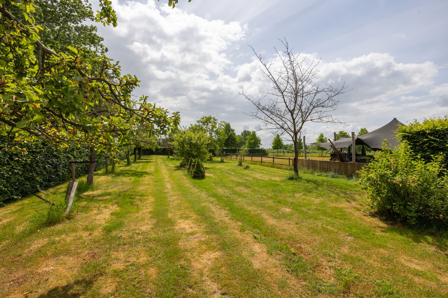 Foto 85 van Hallsedijk 29