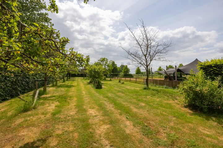 Foto 85 van Hallsedijk 29