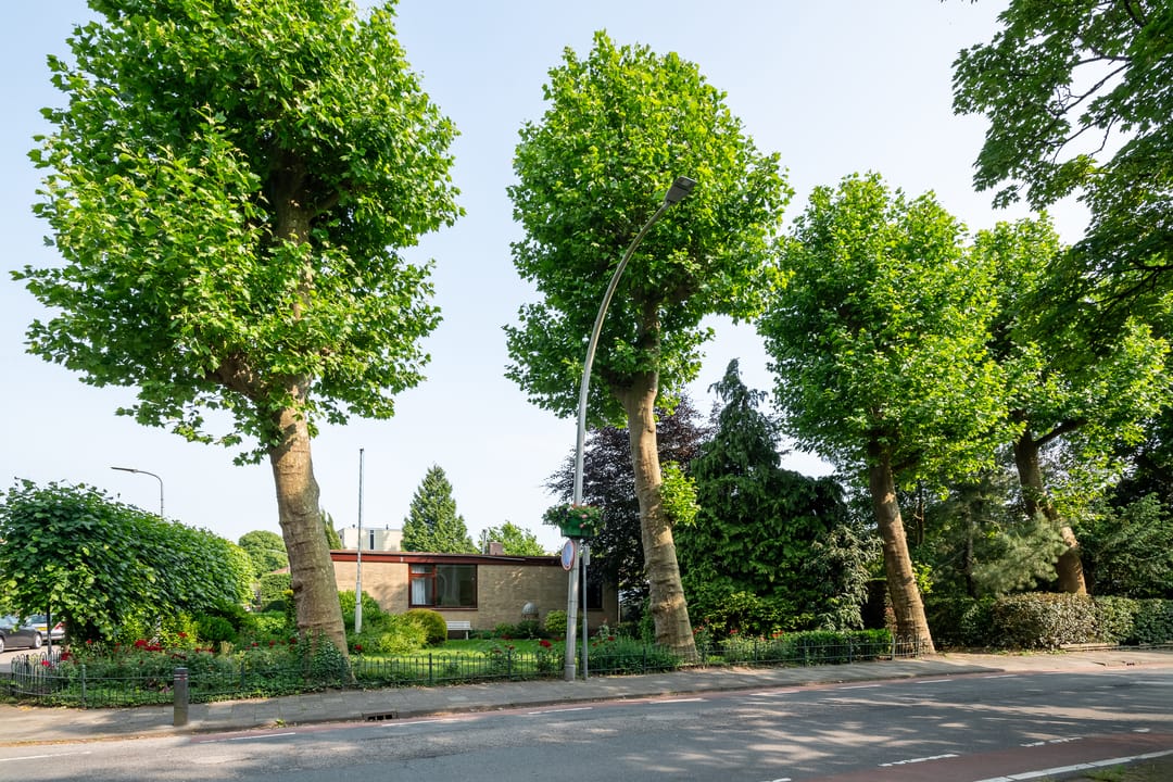 Foto 46 van Heer Janstraat 2-A