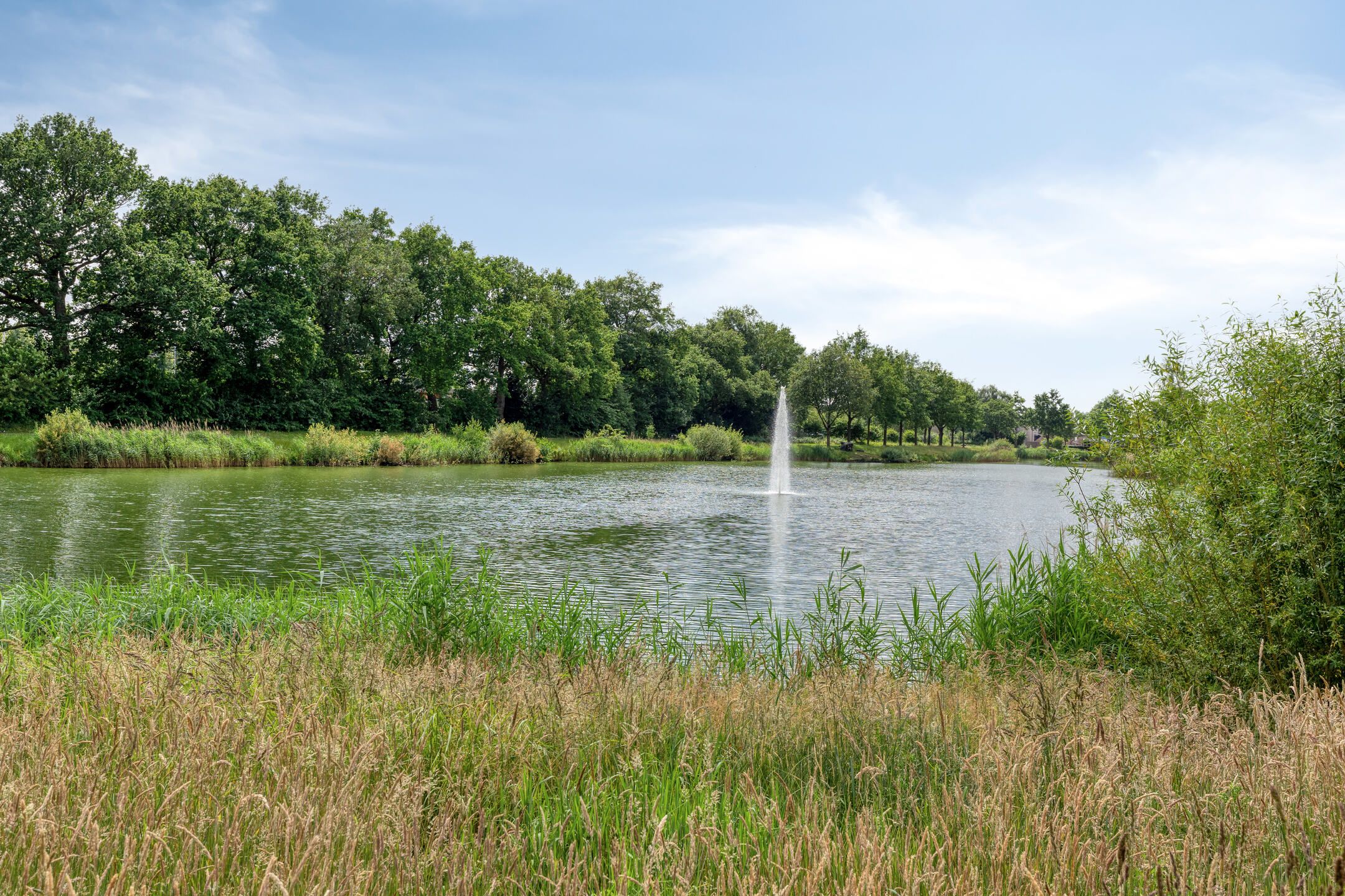 Foto 33 van Giervalk 32