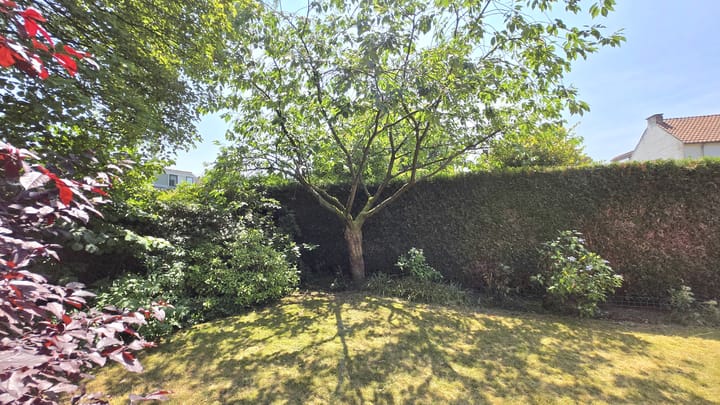 Foto 41 van Albert Cuypstraat 26