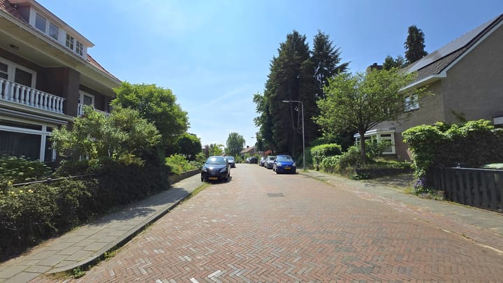 Foto 48 van Albert Cuypstraat 26