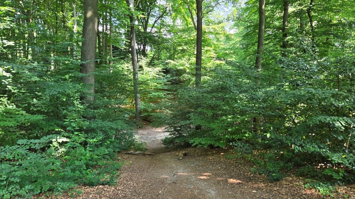 Foto 51 van Albert Cuypstraat 26