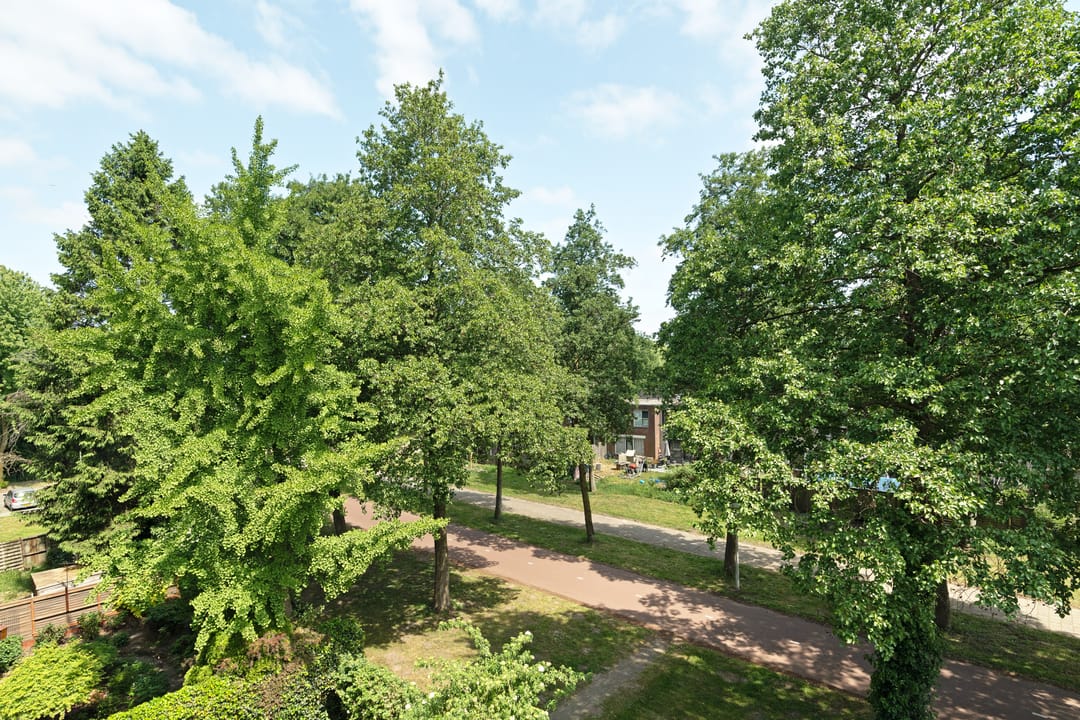 Foto 22 van Wethouder De Roosplein 229