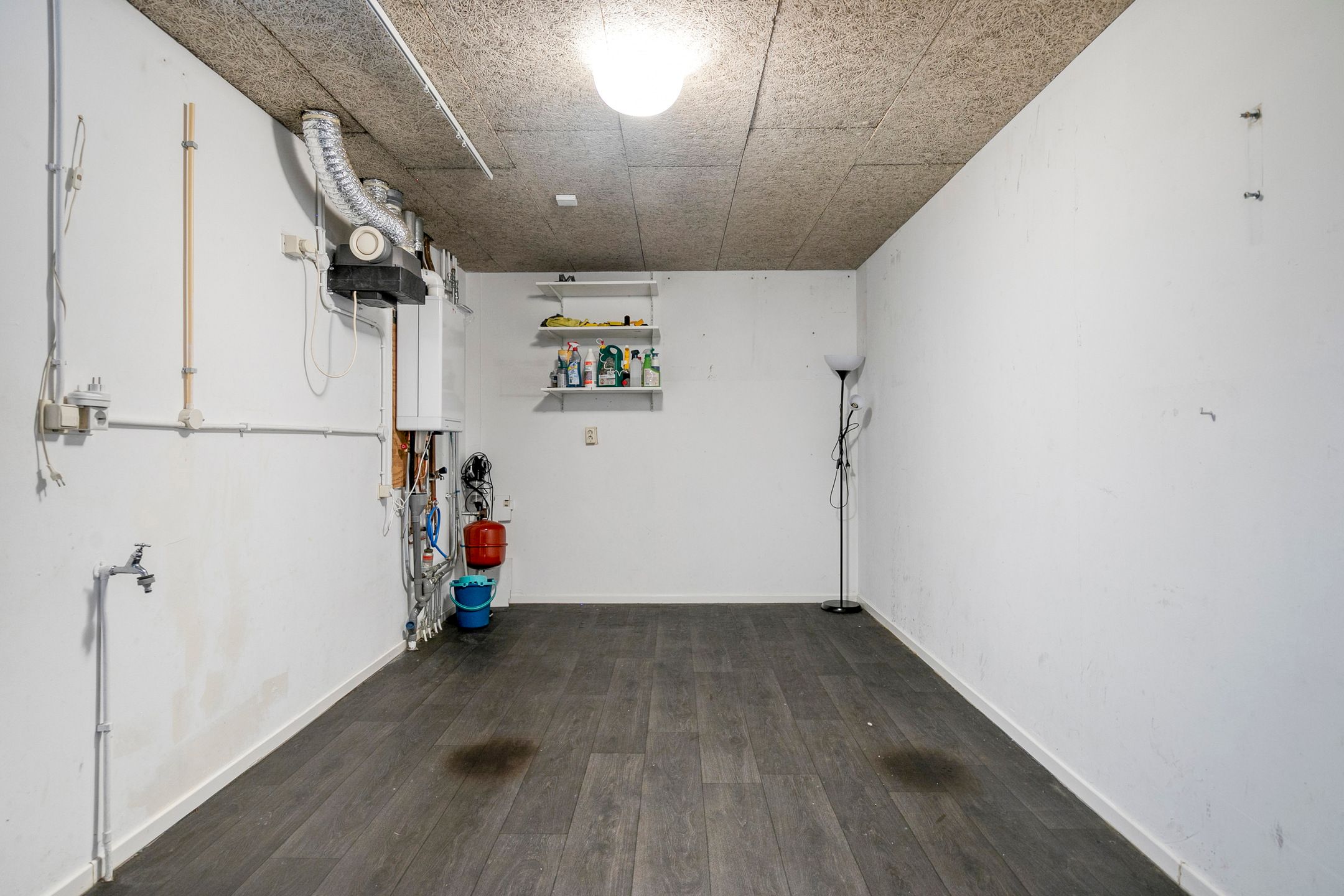 Foto 42 van Roodkapje 19