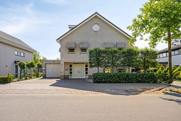 Foto 6 van Zandhagedis 34