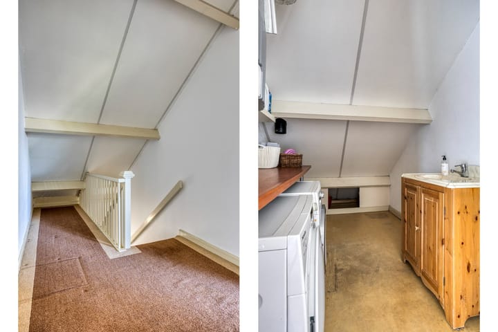 Foto 43 van Zandhagedis 34