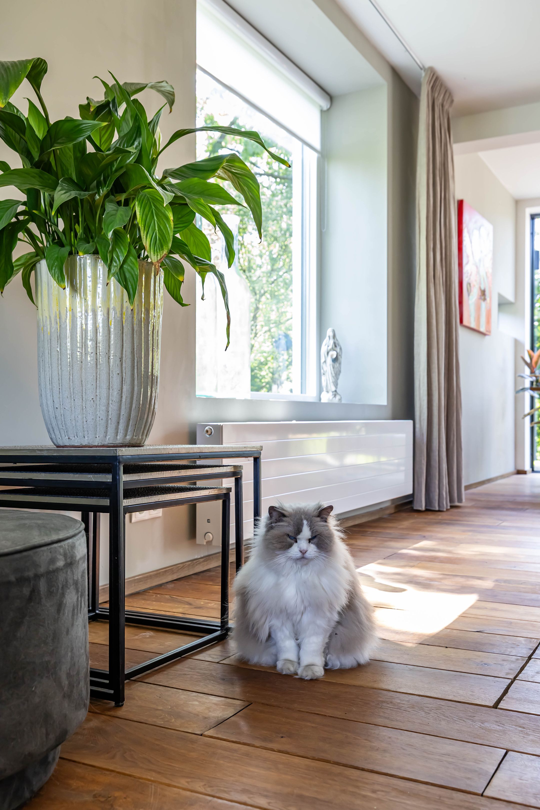 Foto 15 van Veenweg 29-A